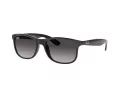 Ray-Ban Andy RB 4202 601/8G 55 Occhiali da Sole