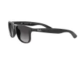 Ray-Ban Andy RB 4202 601/8G 55 Occhiali da Sole