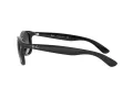 Ray-Ban Andy RB 4202 601/8G 55 Occhiali da Sole