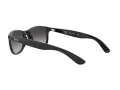 Ray-Ban Andy RB 4202 601/8G 55 Occhiali da Sole