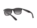 Ray-Ban Andy RB 4202 601/8G 55 Occhiali da Sole