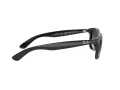 Ray-Ban Andy RB 4202 601/8G 55 Occhiali da Sole