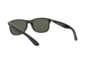 Ray-Ban Andy RB 4202 606971 55 Occhiali da Sole