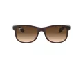 Ray-Ban Andy RB 4202 6073/13 55 Occhiali da Sole