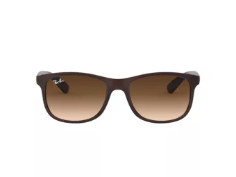 Ray-Ban Andy RB 4202 6073/13 55 Occhiali da Sole