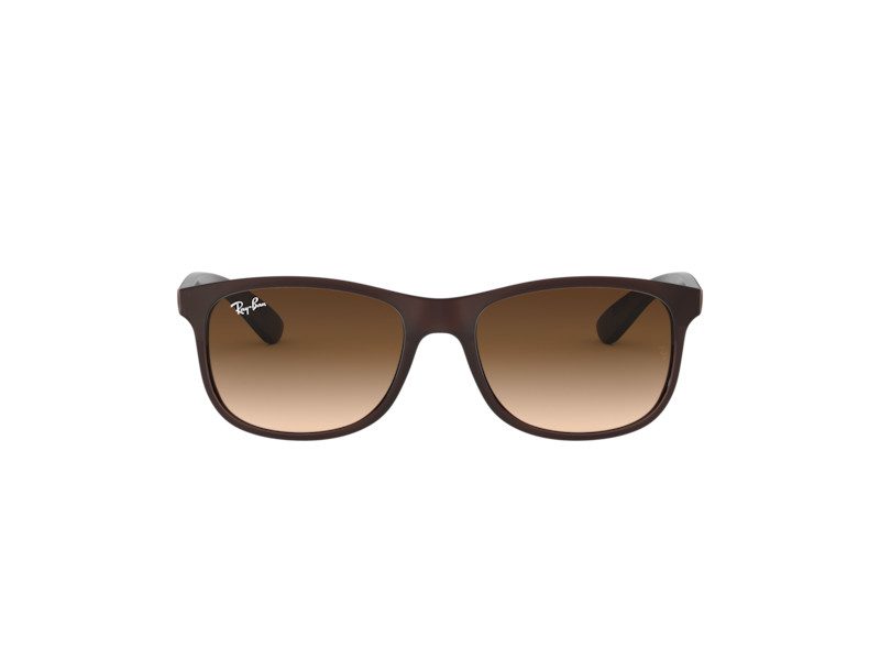 Ray-Ban Andy RB 4202 6073/13 55 Occhiali da Sole