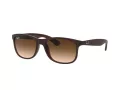 Ray-Ban Andy RB 4202 6073/13 55 Occhiali da Sole