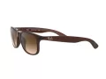 Ray-Ban Andy RB 4202 6073/13 55 Occhiali da Sole