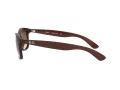 Ray-Ban Andy RB 4202 6073/13 55 Occhiali da Sole