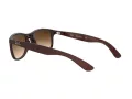 Ray-Ban Andy RB 4202 6073/13 55 Occhiali da Sole