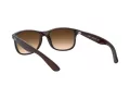 Ray-Ban Andy RB 4202 6073/13 55 Occhiali da Sole