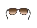 Ray-Ban Andy RB 4202 6073/13 55 Occhiali da Sole