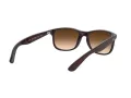 Ray-Ban Andy RB 4202 6073/13 55 Occhiali da Sole