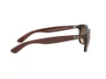 Ray-Ban Andy RB 4202 6073/13 55 Occhiali da Sole