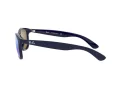 Ray-Ban Andy RB 4202 6153/55 55 Occhiali da Sole