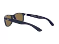 Ray-Ban Andy RB 4202 6153/55 55 Occhiali da Sole
