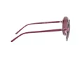 Ray-Ban RB 4304 6400/75 53 Occhiali da Sole