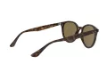 Ray-Ban RB 4305 710/73 53 Occhiali da Sole