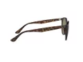 Ray-Ban RB 4305 710/73 53 Occhiali da Sole