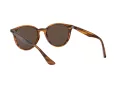 Ray-Ban RB 4305 820/73 53 Occhiali da Sole