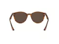 Ray-Ban RB 4305 820/73 53 Occhiali da Sole