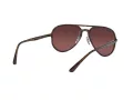 Ray-Ban RB 4320/CH 710/6B 58 Occhiali da Sole