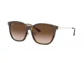 Ray-Ban RB 4333D 710/13 55 Occhiali da Sole