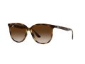 Ray-Ban 4378 710/13 54 Occhiali da Sole