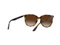 Ray-Ban 4378 710/13 54 Occhiali da Sole
