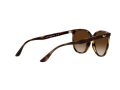 Ray-Ban 4378 710/13 54 Occhiali da Sole