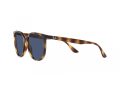 Ray-Ban RB 4378 710/80 54 Occhiali da Sole