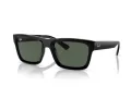 Ray-Ban Warren RB 4396 667771 54 Occhiali da Sole