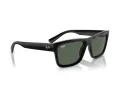 Ray-Ban Warren RB 4396 667771 54 Occhiali da Sole