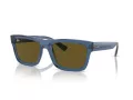 Ray-Ban Warren RB 0RB4396 668073 54 Occhiali da Sole