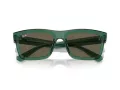 Ray-Ban Warren RB 0RB4396 6681/3 54 Occhiali da Sole
