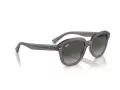 Ray-Ban Erik RB 0RB4398 667571 51 Occhiali da Sole