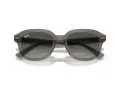 Ray-Ban Erik RB 0RB4398 667571 53 Occhiali da Sole