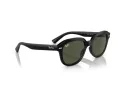 Ray-Ban Erik RB 4398 901/31 51 Occhiali da Sole