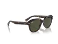 Ray-Ban Erik RB 0RB4398 902/31 51 Occhiali da Sole