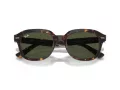 Ray-Ban Erik RB 0RB4398 902/31 51 Occhiali da Sole