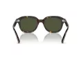 Ray-Ban Erik RB 0RB4398 902/31 53 Occhiali da Sole