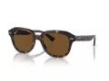 Ray-Ban Erik RB 4398 902/57 53 Occhiali da Sole