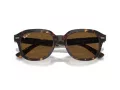 Ray-Ban Erik RB 4398 902/57 53 Occhiali da Sole