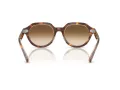 Ray-Ban Gina RB 4399 141451 53 Occhiali da Sole
