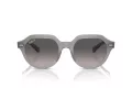 Ray-Ban Gina RB 0RB4399 6429M3 53 Occhiali da Sole