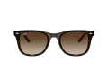 Ray-Ban RB 4420 710/13 65 Occhiali da Sole