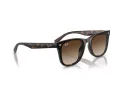 Ray-Ban RB 4420 710/13 65 Occhiali da Sole