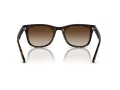 Ray-Ban RB 4420 710/13 65 Occhiali da Sole