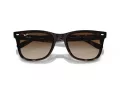 Ray-Ban RB 4420 710/13 65 Occhiali da Sole