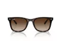 Ray-Ban RB 4420 710/13 65 Occhiali da Sole